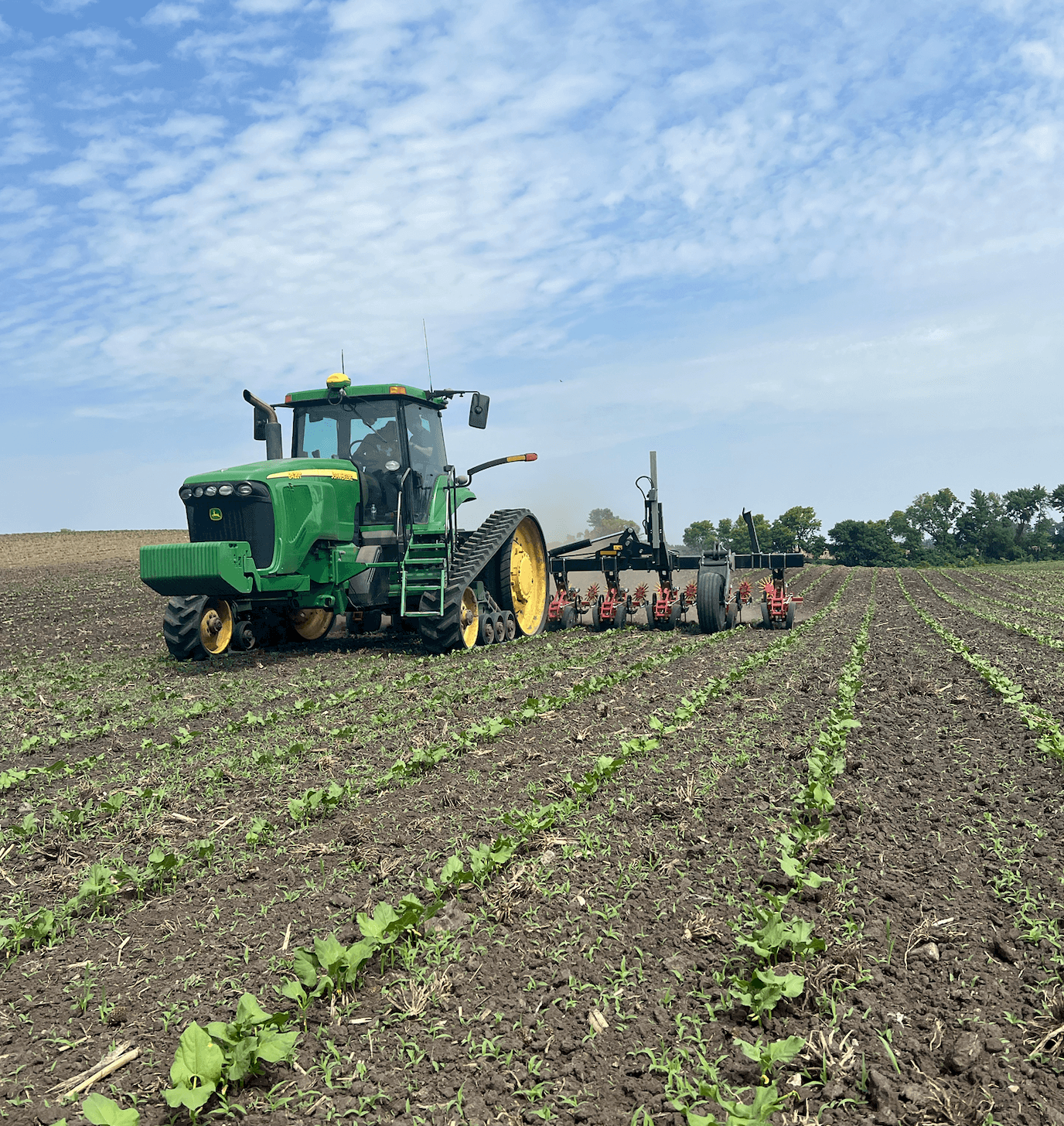 Salford Cultivator Salford Row Crop Cultivator